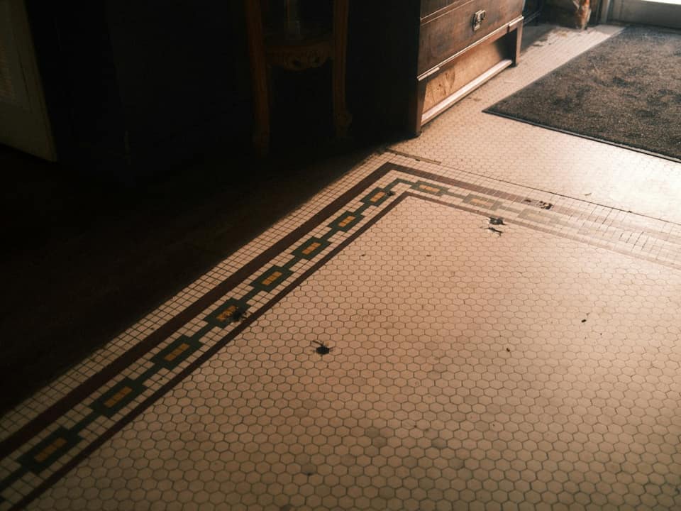 A patterned tile floor in a dim room