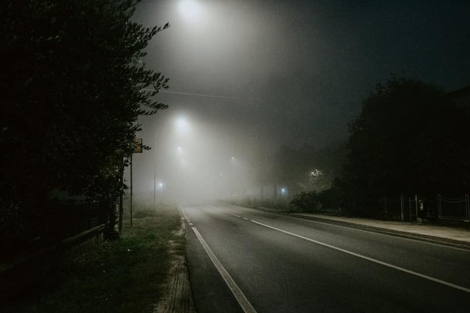 A road with trees on the side